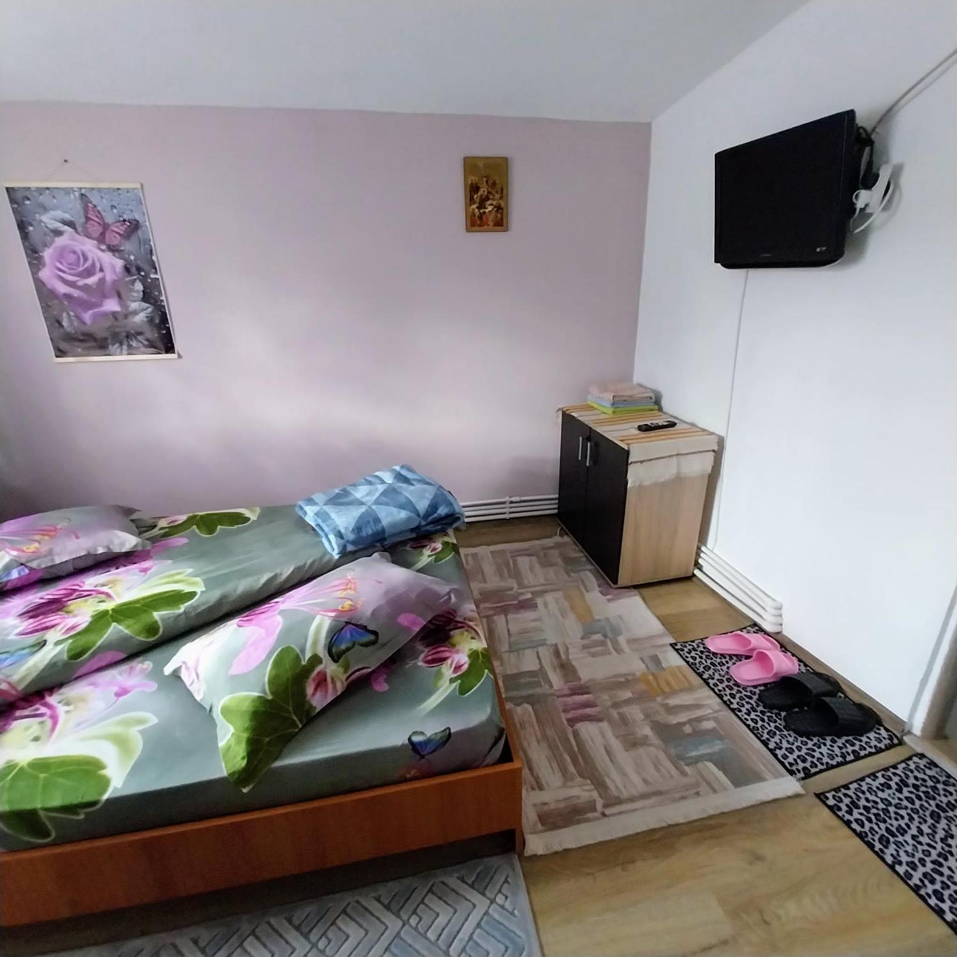 Hotel Casa Andreea Novaci-Străini Zewnętrze zdjęcie
