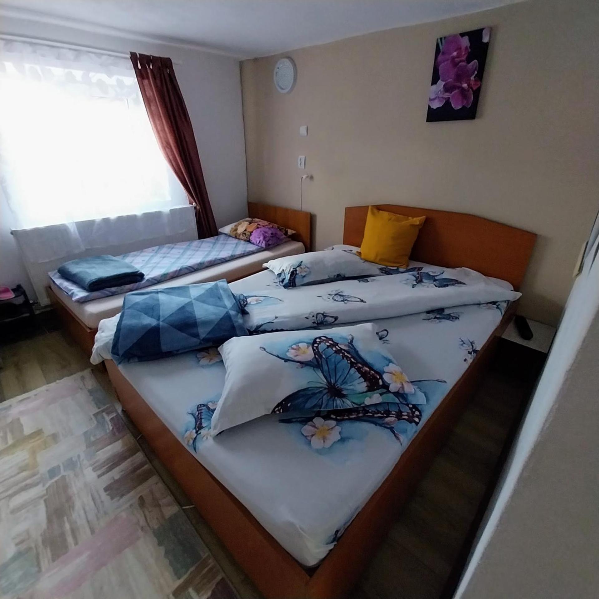 Hotel Casa Andreea Novaci-Străini Zewnętrze zdjęcie