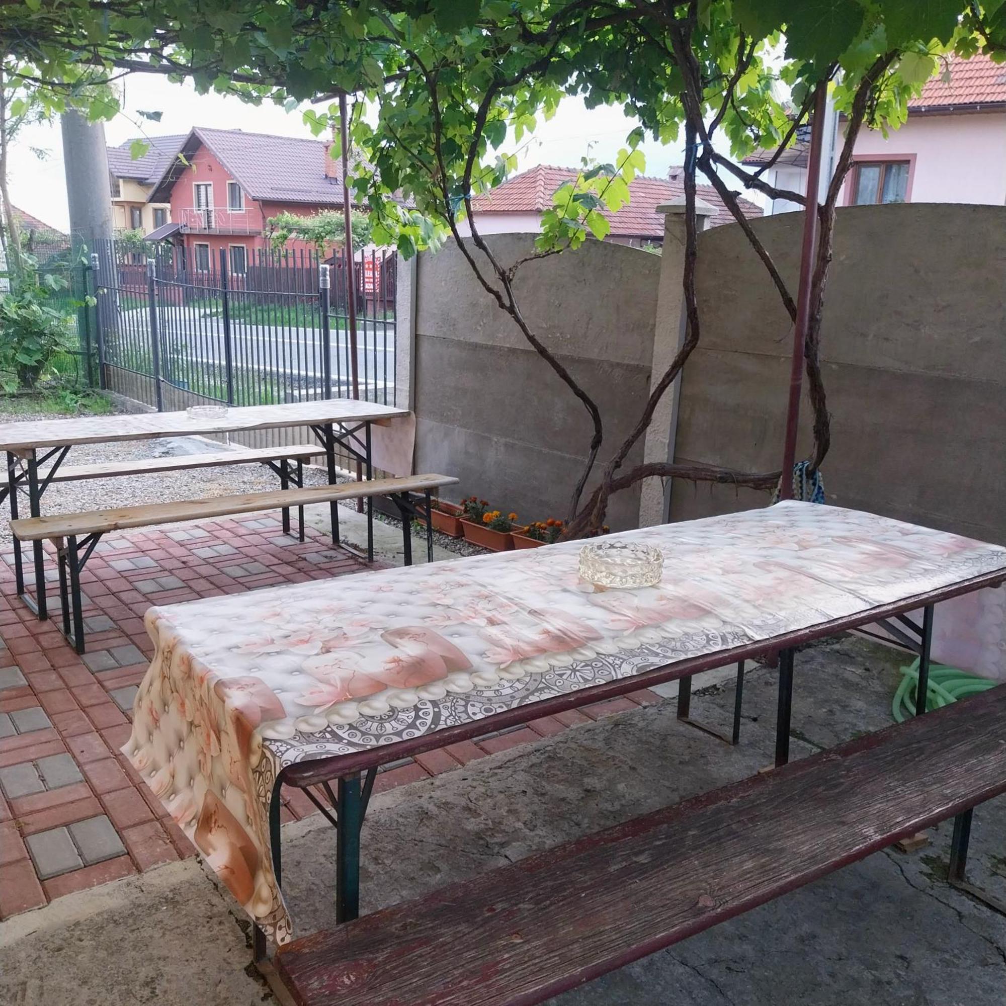 Hotel Casa Andreea Novaci-Străini Zewnętrze zdjęcie